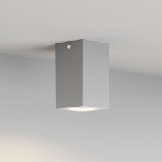 Cowart GU10 Outdoor Ceiling Down Light Grey (80300634)
