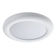 42054-White