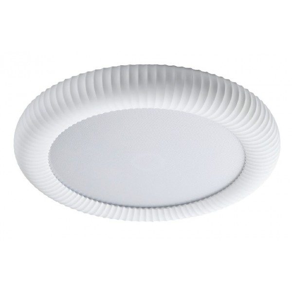 42054-White