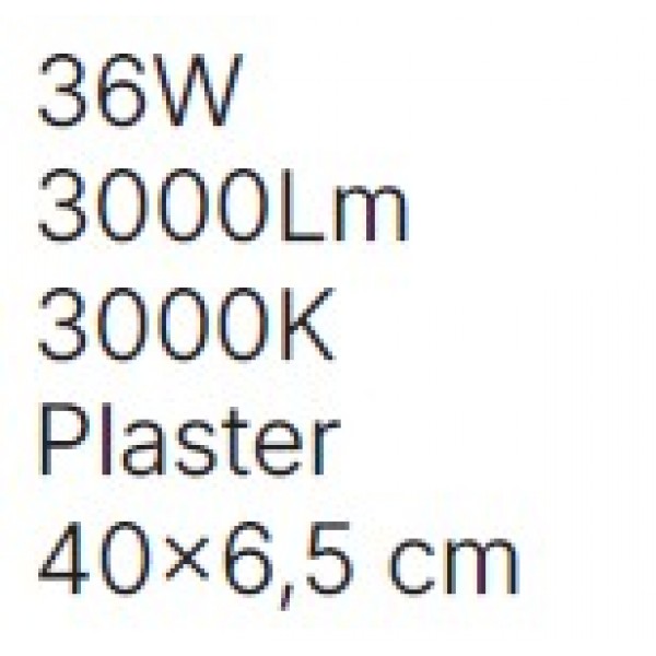 42054-White