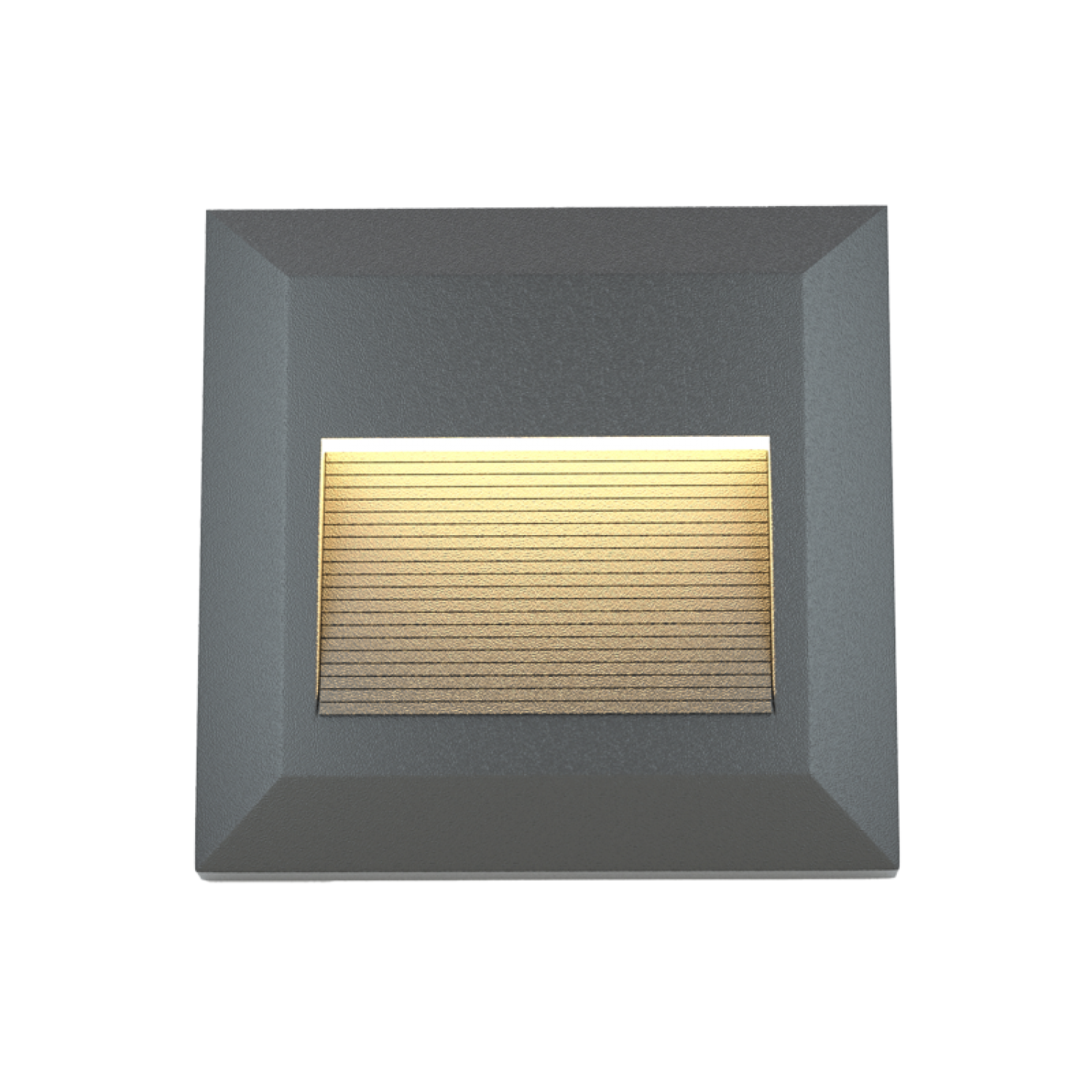Salmon LED 2W 3CCT Outdoor Wall Lamp Anthracite CCT D:12.4cmx12.4cm (80201840)