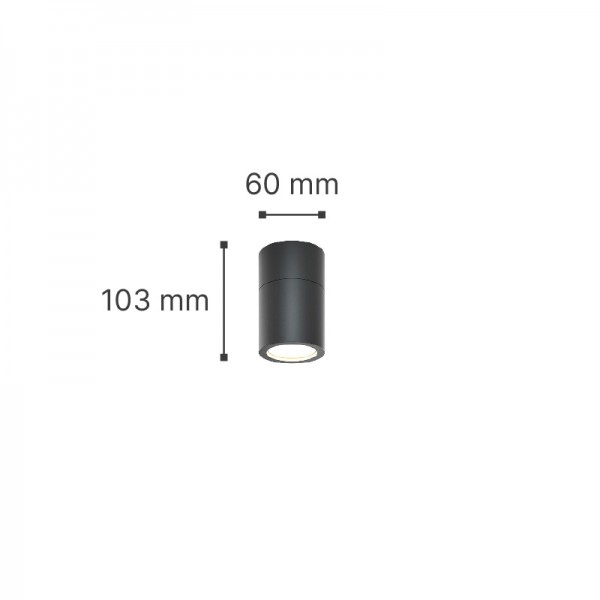 Chelan 1xGU10 Outdoor Ceiling Down Light Grey D:10.3cmx6cm (80300134)