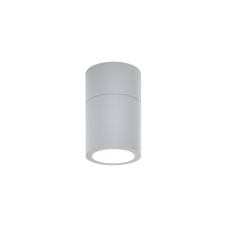 Chelan 1xGU10 Outdoor Ceiling Down Light Grey D:10.3cmx6cm (80300134)