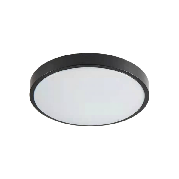 Torch LED 18W 3CCT Outdoor Ceiling Light Anthracite D:28cmx5,3cm (80300340)